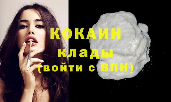 соль ск Дмитриев