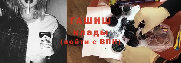 соль ск Дмитриев