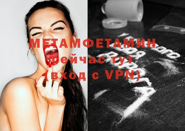 соль ск Дмитриев