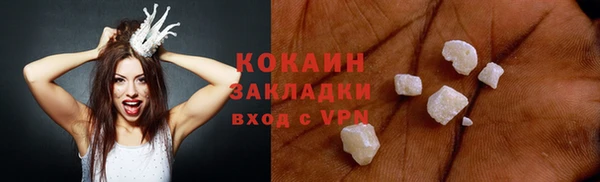 соль ск Дмитриев