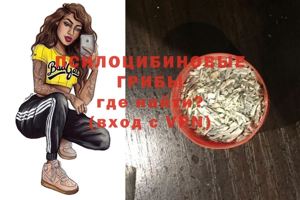 соль ск Дмитриев