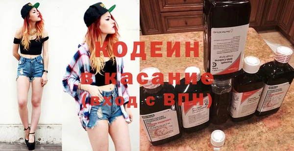 соль ск Дмитриев