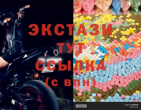 соль ск Дмитриев