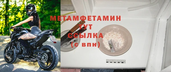 соль ск Дмитриев