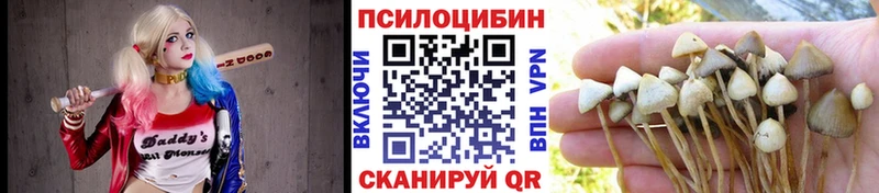 гидра ТОР  Назарово  Псилоцибиновые грибы GOLDEN TEACHER 