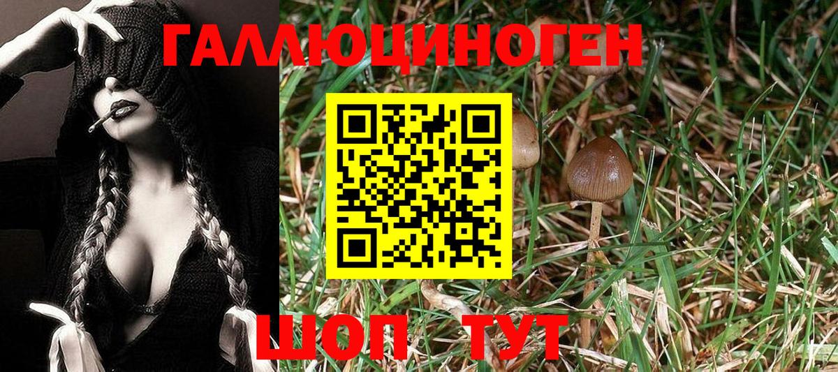 Галлюциногенные грибы Psilocybe  Вход с VPN  Назарово  Псилоцибиновые грибы ЛСД 