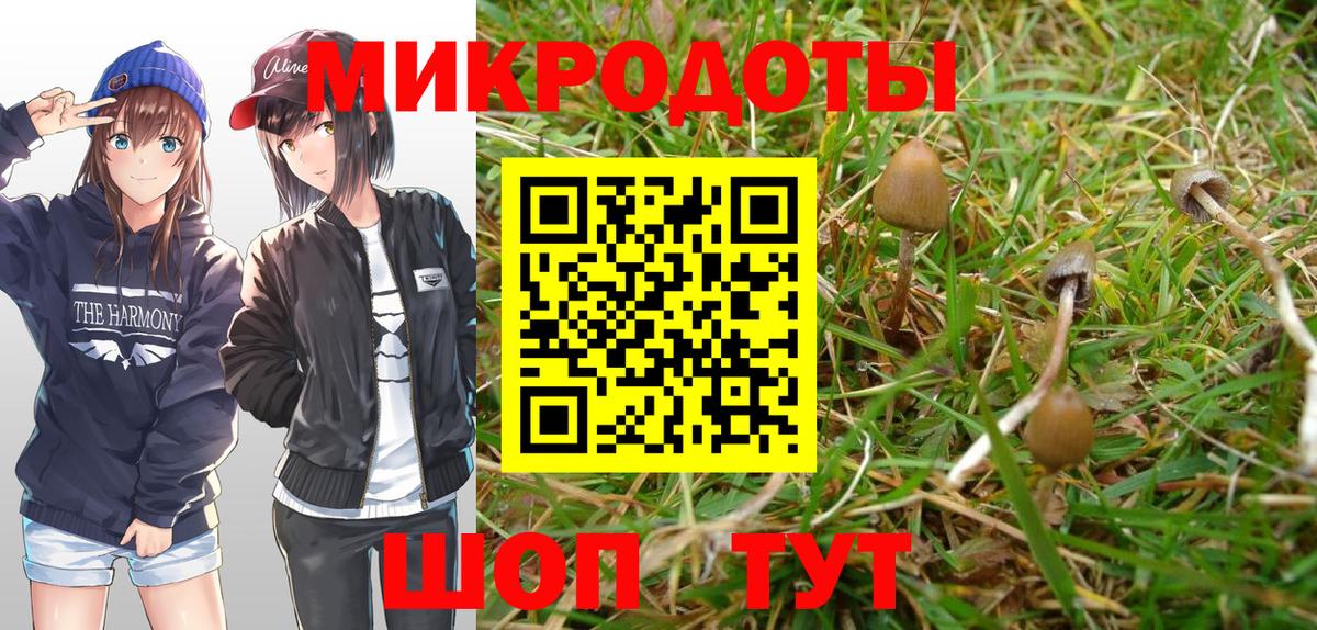 Галлюциногенные грибы мицелий Назарово