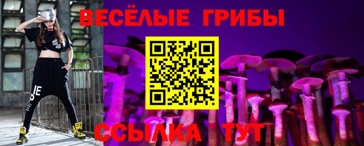 Псилоцибиновые грибы прущие грибы Назарово